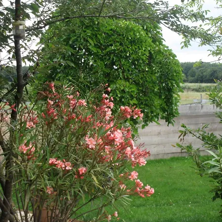 ベッド・アンド・ブレックファスト Relais De Chasse La Chaignaie Saint-Hilaire-de-Loulay