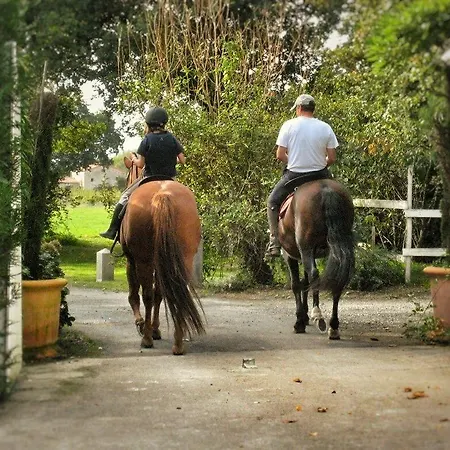 Relais De Chasse La Chaignaie Couette-café