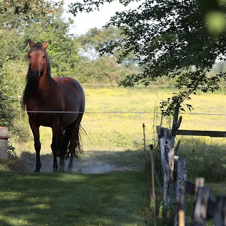 Relais De Chasse La Chaignaie Saint-Hilaire-de-Loulay