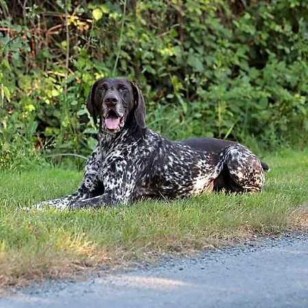 Relais De Chasse La Chaignaie 3*