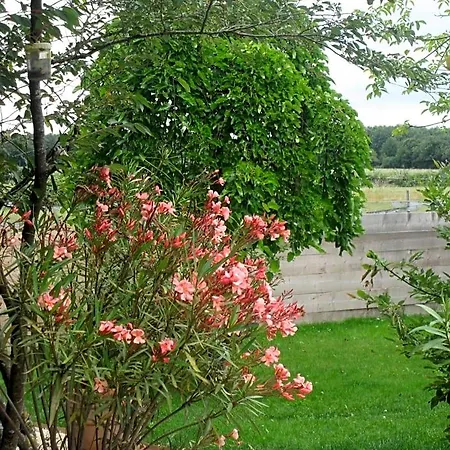 Couette-café Relais De Chasse La Chaignaie 3*
