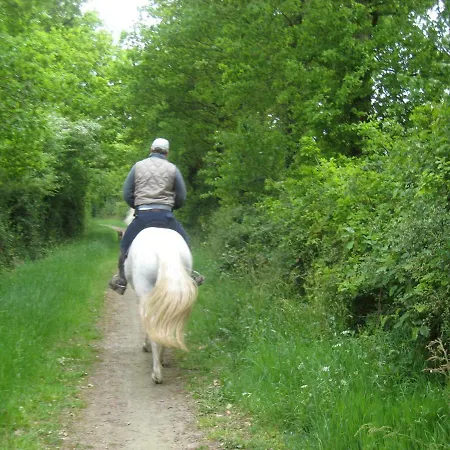 Couette-café Relais De Chasse La Chaignaie