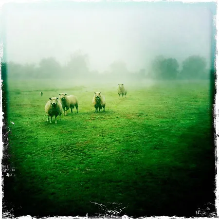 Relais De Chasse La Chaignaie 3*