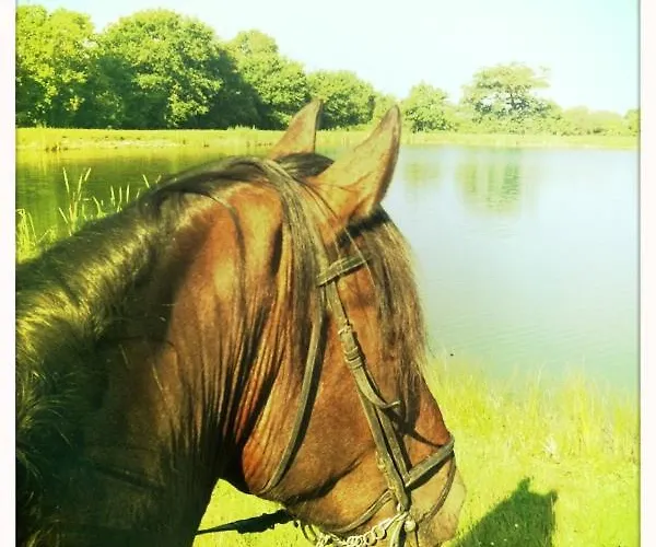 Couette-café Relais De Chasse La Chaignaie 3*