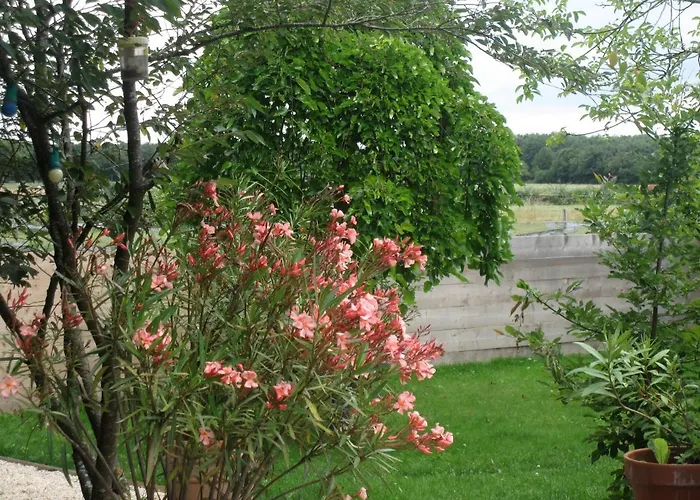 Couette-café Relais De Chasse La Chaignaie Saint-Hilaire-de-Loulay