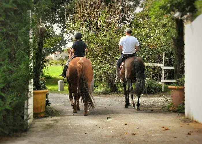 Relais De Chasse La Chaignaie Couette-café