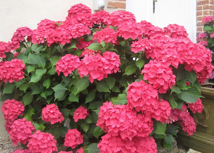 Relais De Chasse La Chaignaie 3*