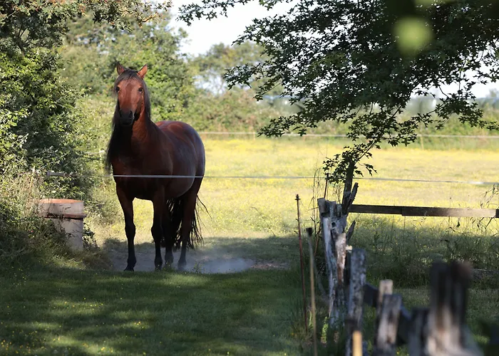 Relais De Chasse La Chaignaie Saint-Hilaire-de-Loulay