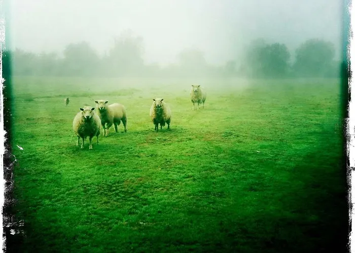 Relais De Chasse La Chaignaie 3*